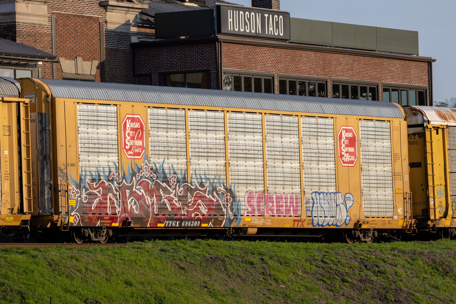 TTGX 696309