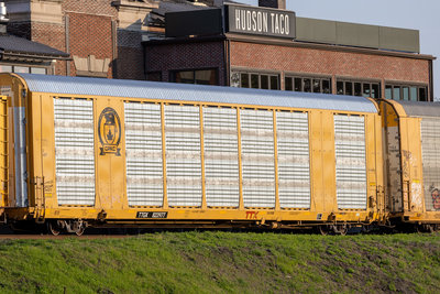 TTGX 822977