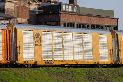 TTGX 822666