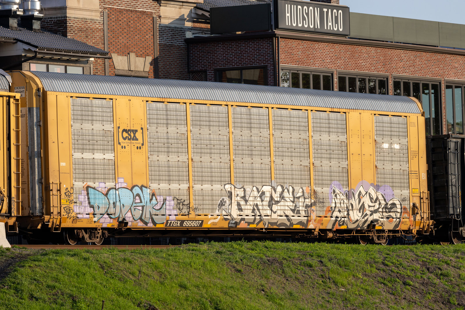 TTGX 695607