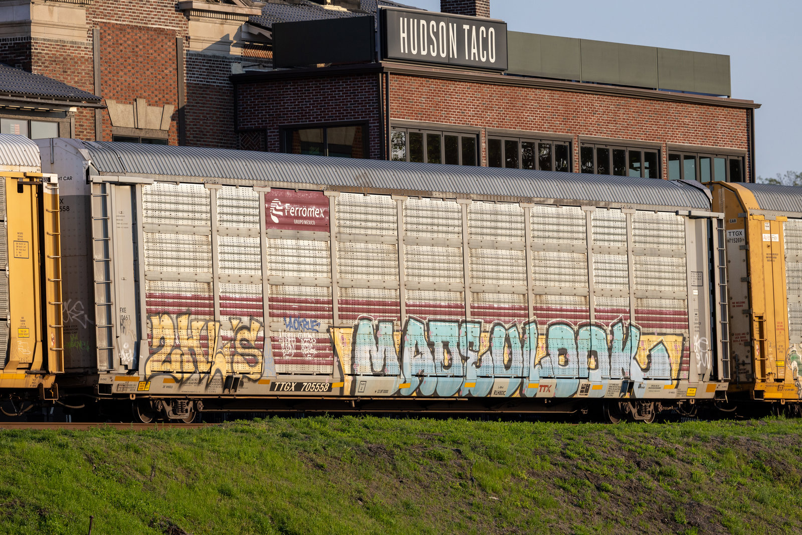 TTGX 705558