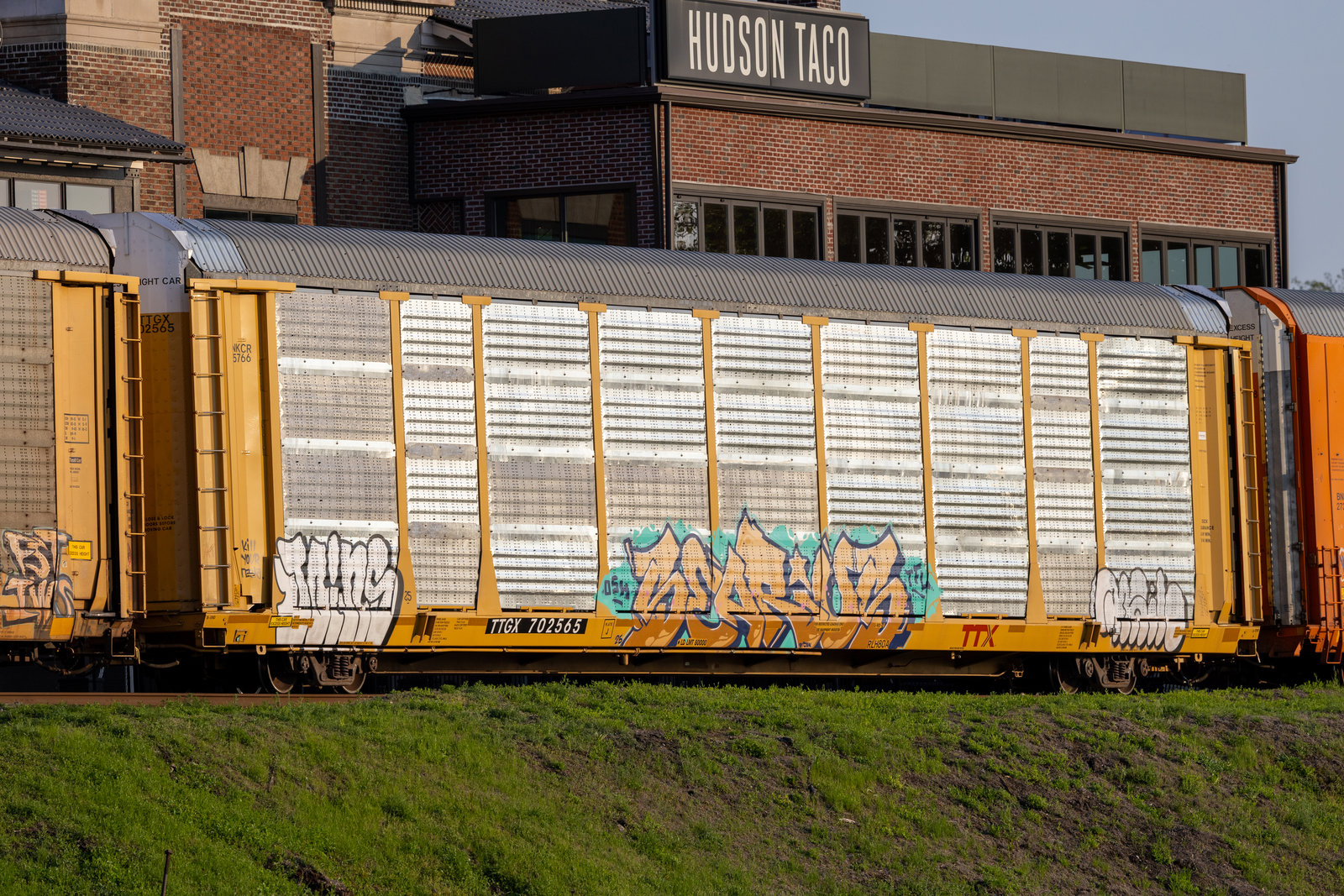 TTGX 702565