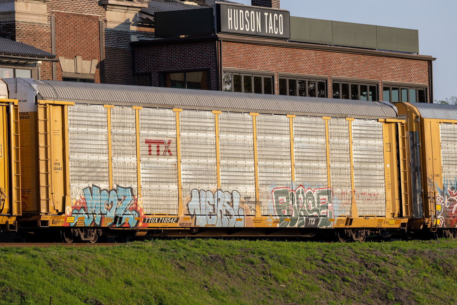 TTGX 710542