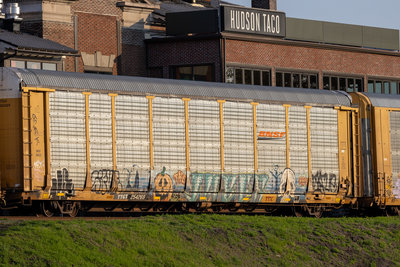 TTGX 254269