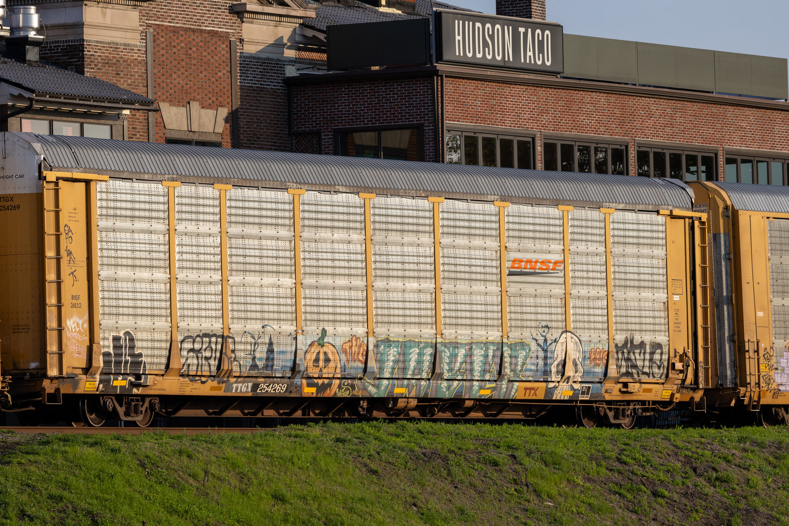 TTGX 254269