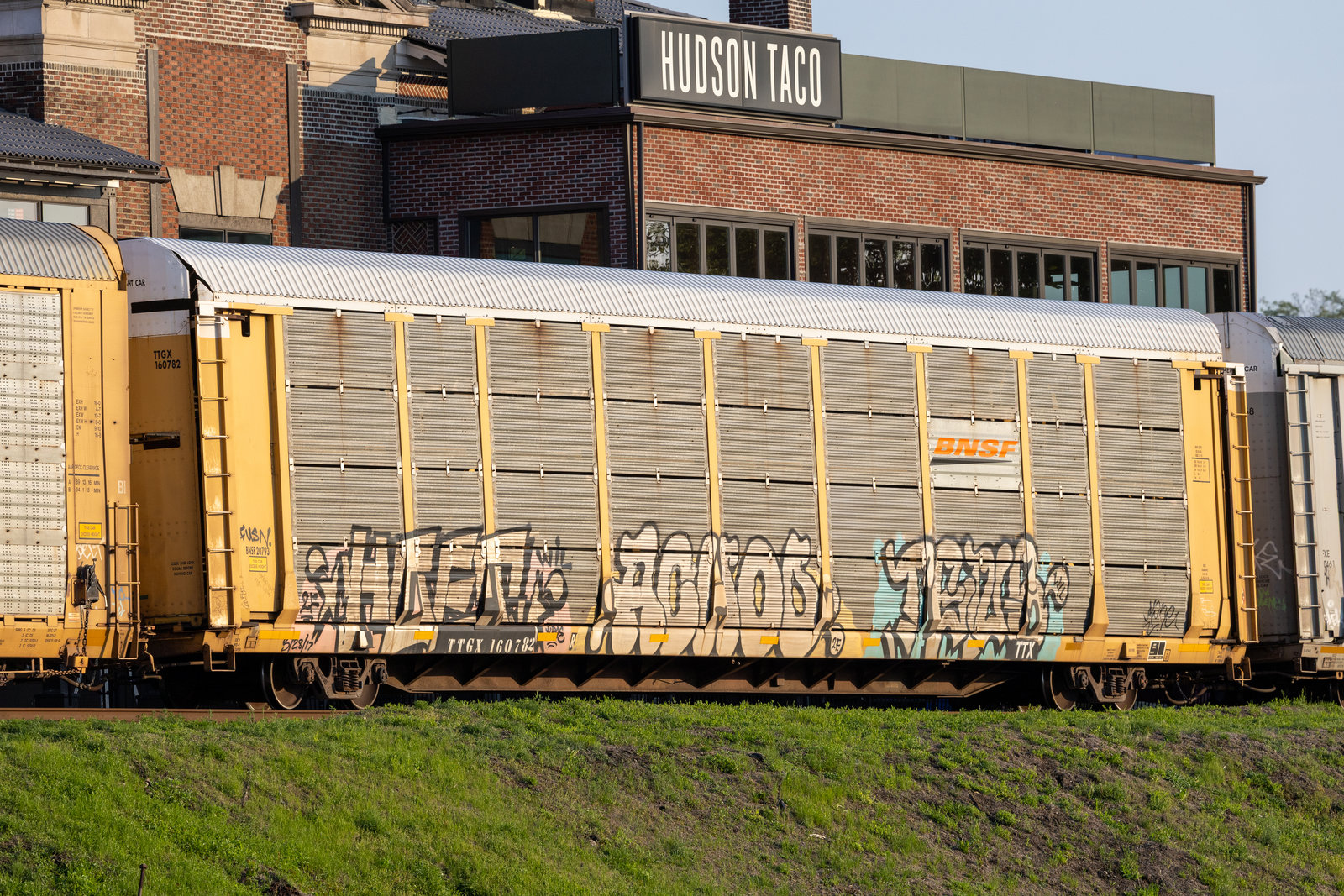 TTGX 160782