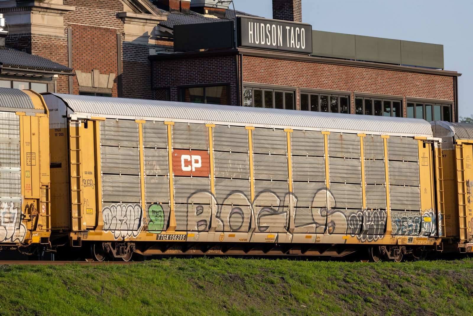 TTGX 156205