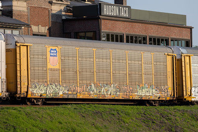 TTGX 995175