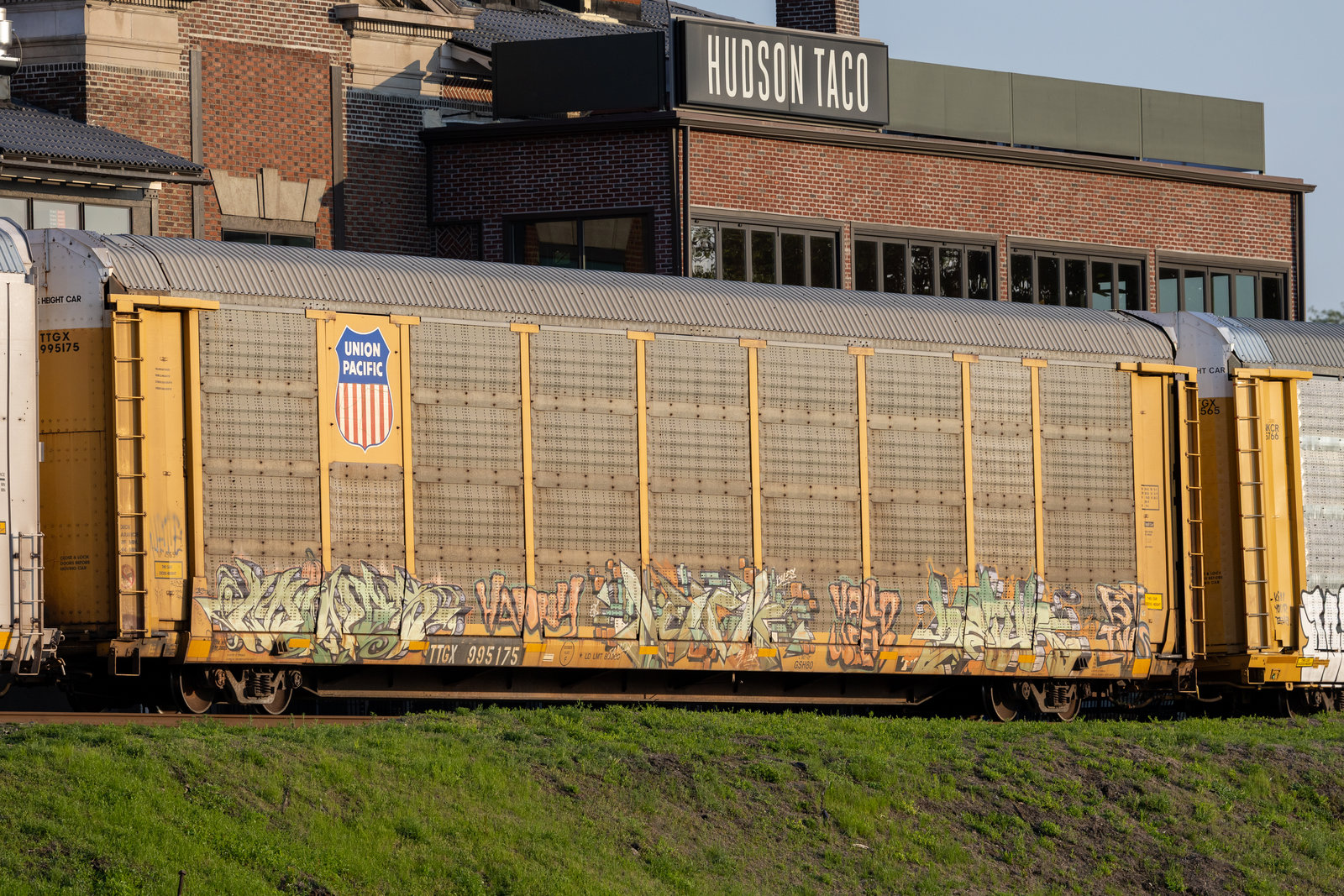 TTGX 995175