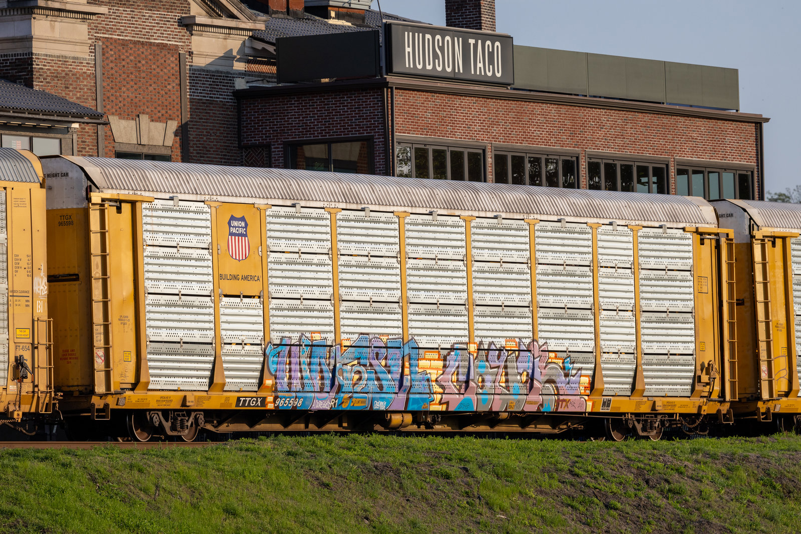TTGX 965598