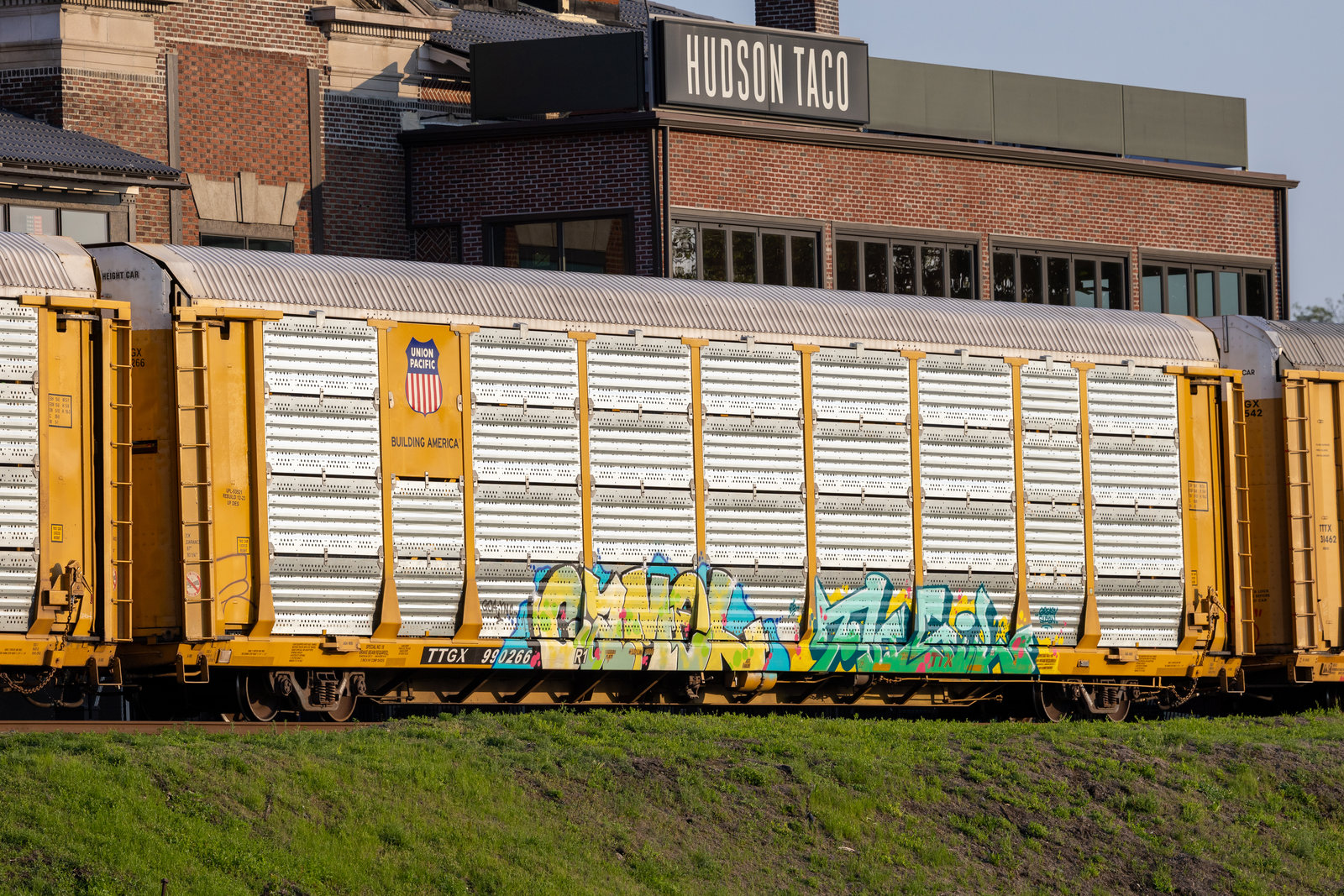 TTGX 990266
