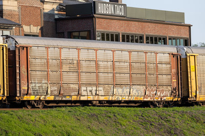 TTGX 983556