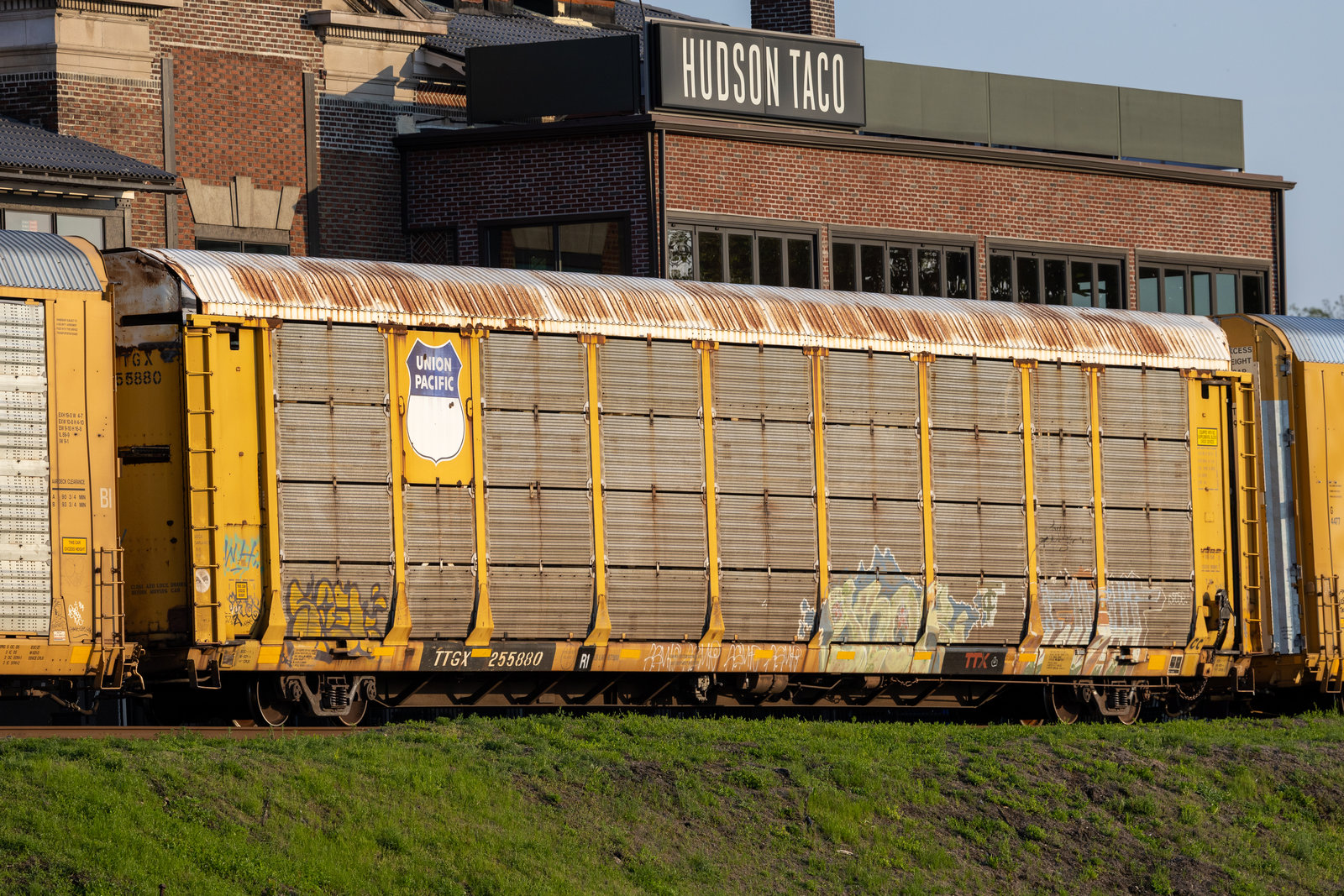 TTGX 255880