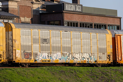 TTGX 715704