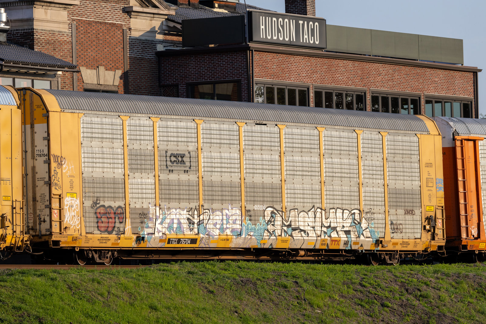 TTGX 715704