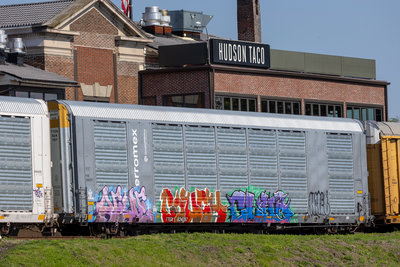 TTGX 824787