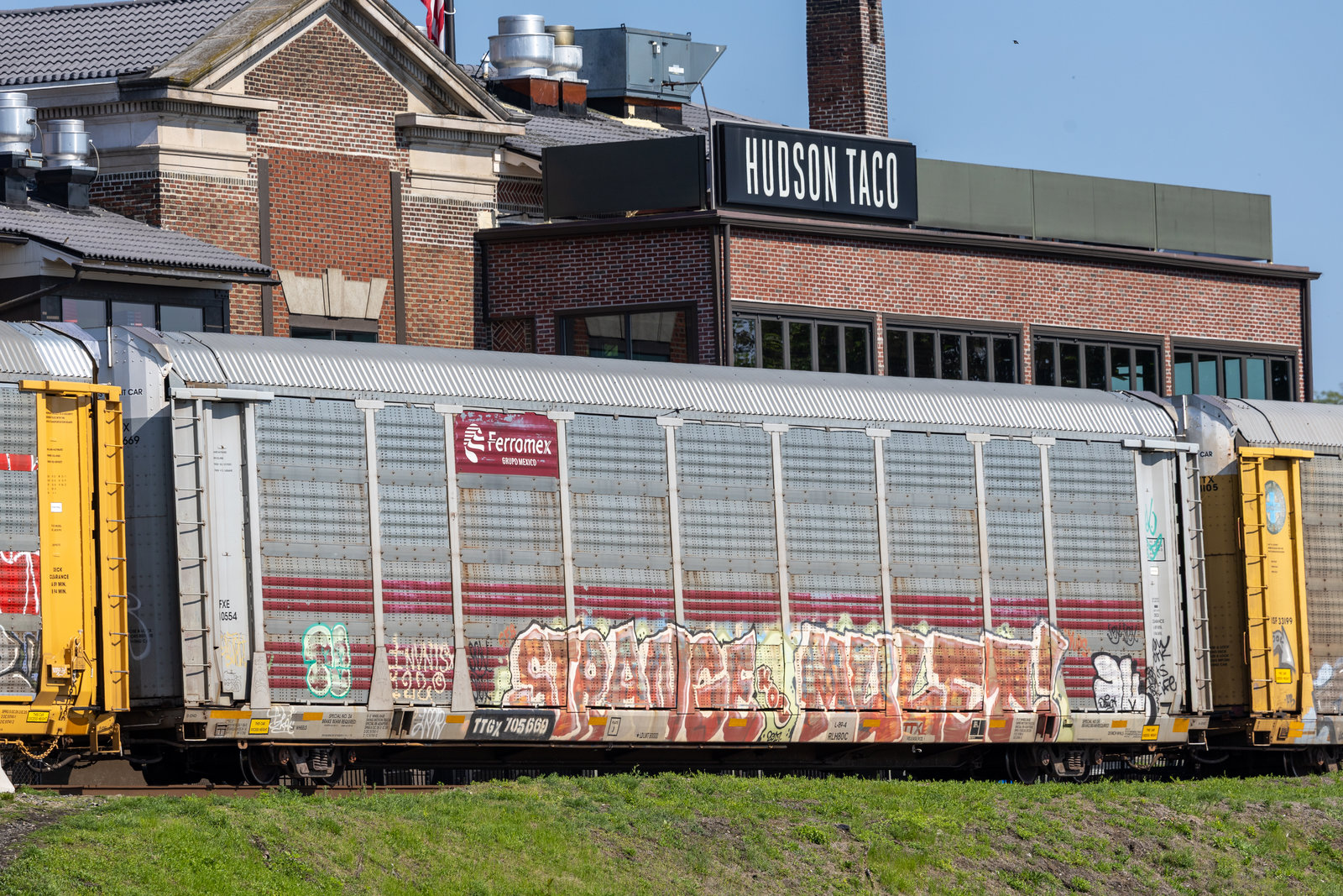 TTGX 705669