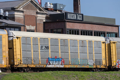 TTGX 254785