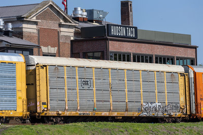 TTGX 255797