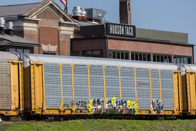 TTGX 701795