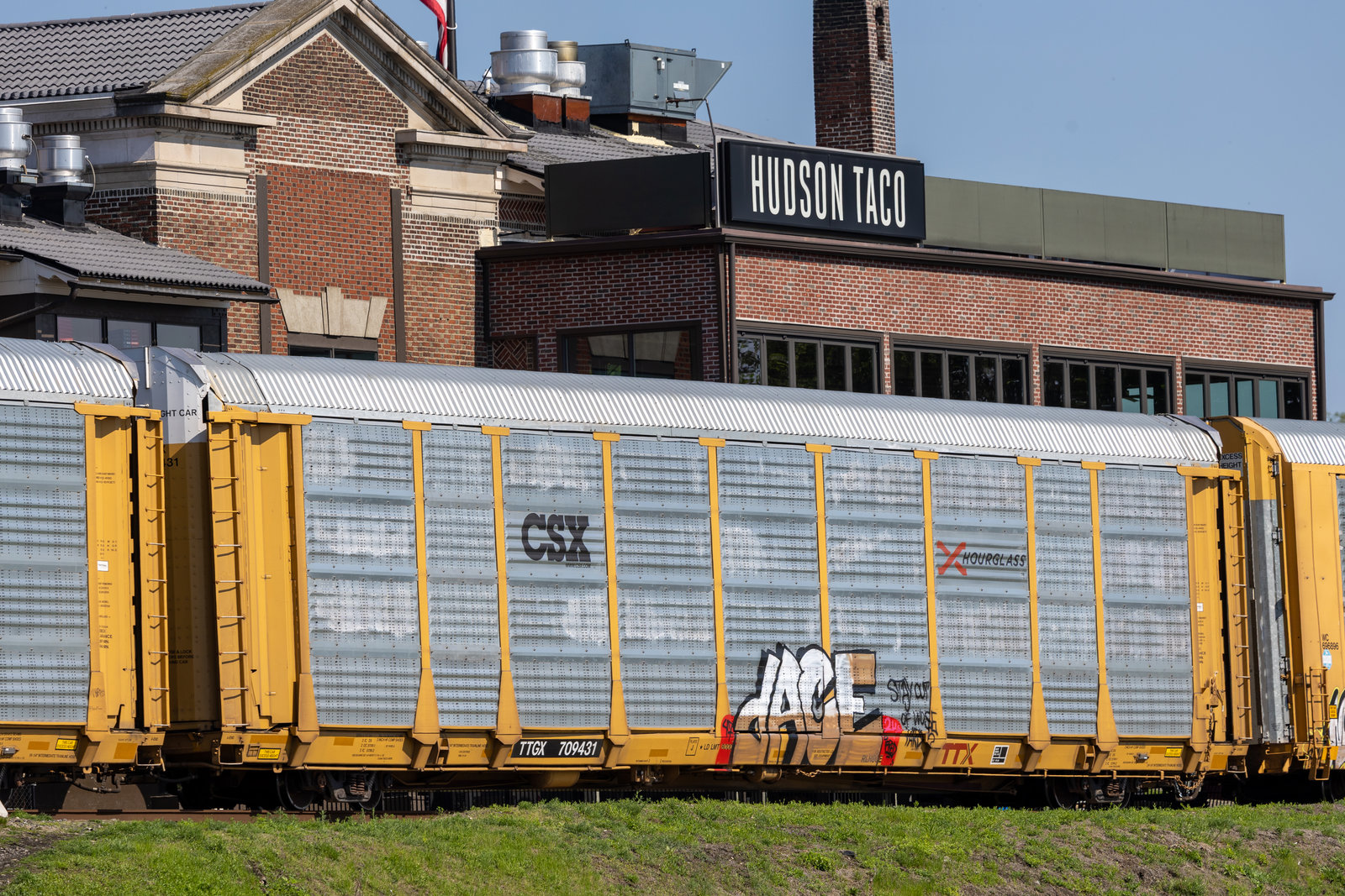 TTGX 709431