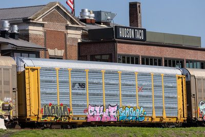 TTGX 835602
