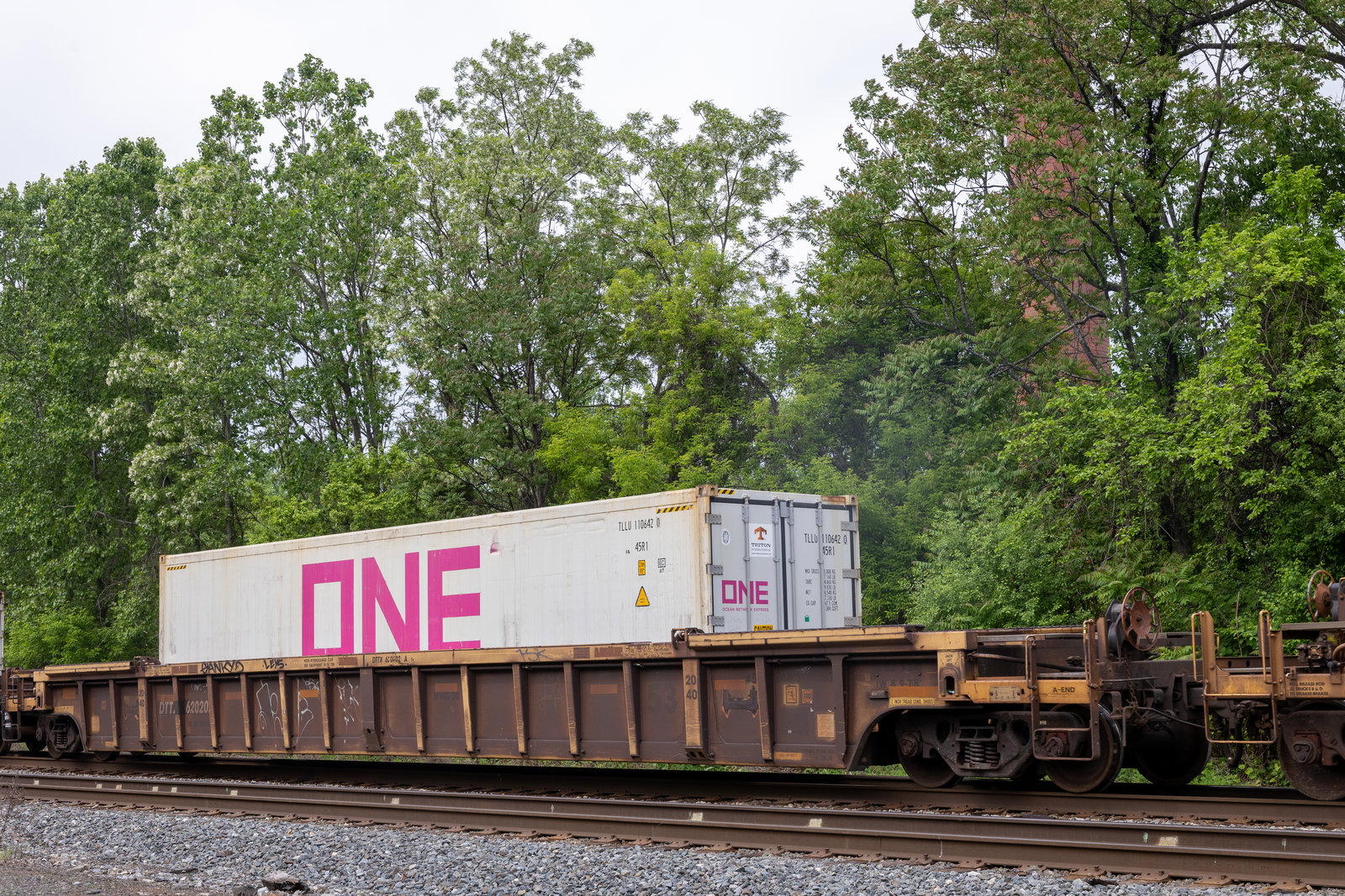 DTTX 620202A