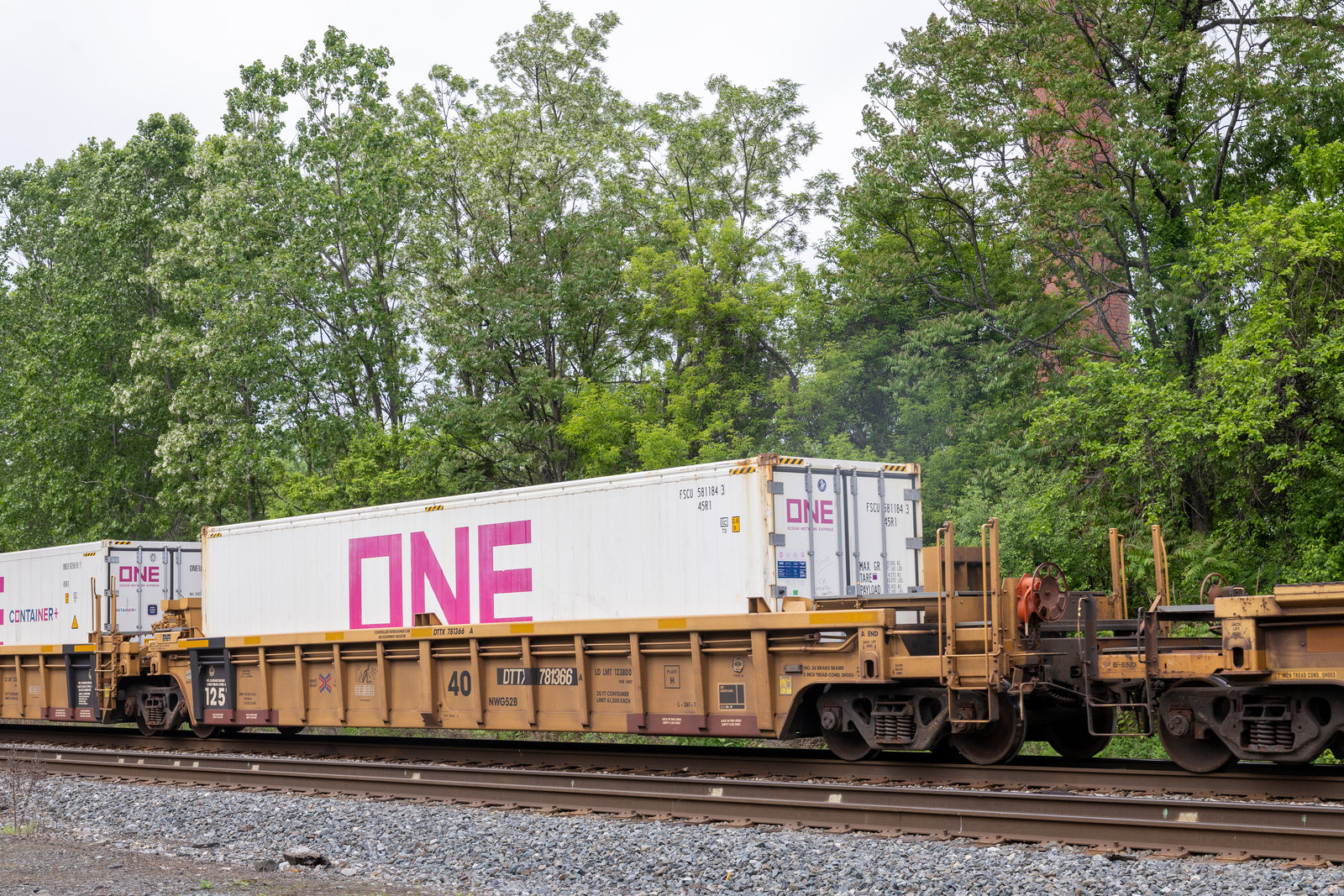 DTTX 781366A