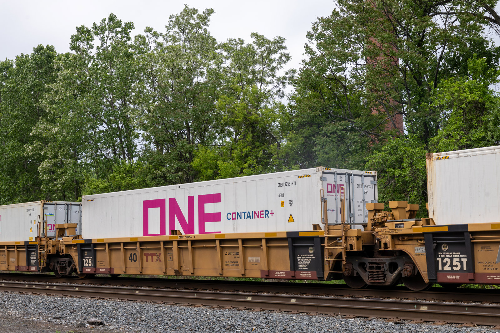 DTTX 781366E