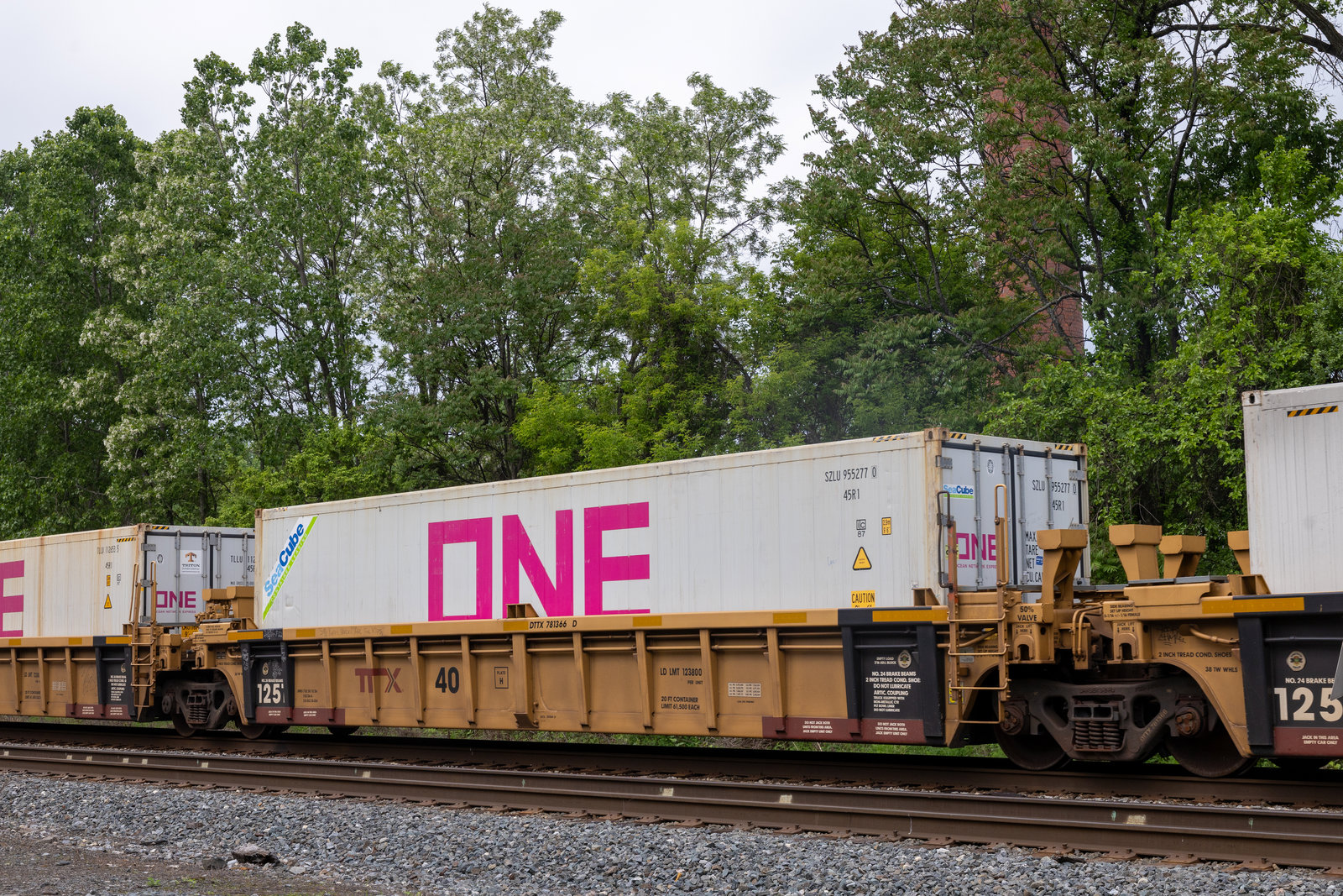 DTTX 781366D