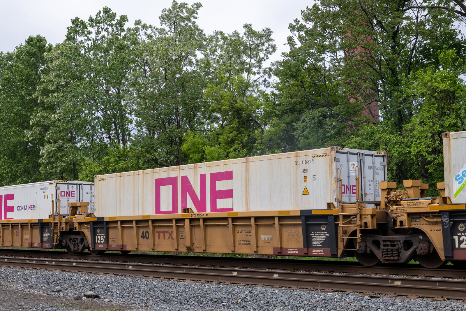 DTTX 781366C