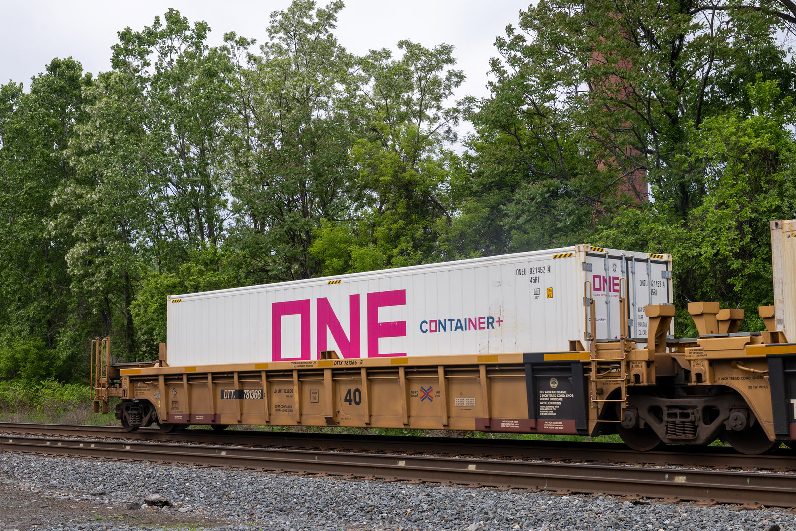 DTTX 781366B
