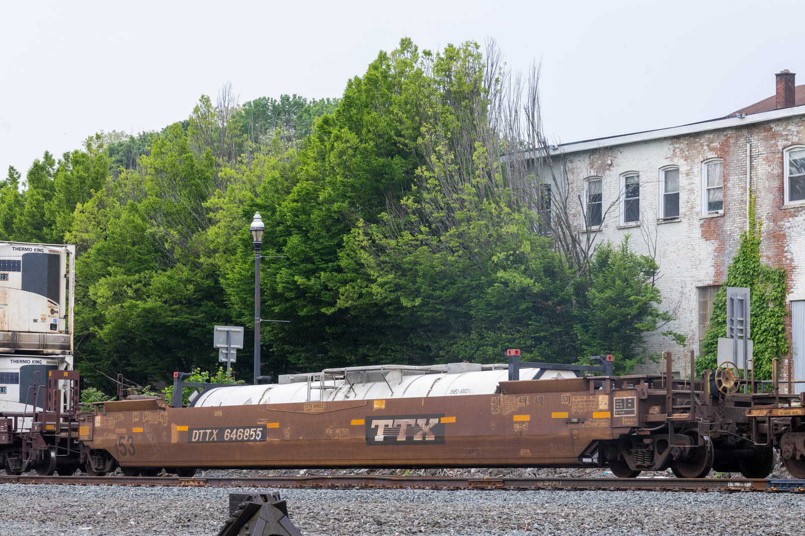DTTX 646855