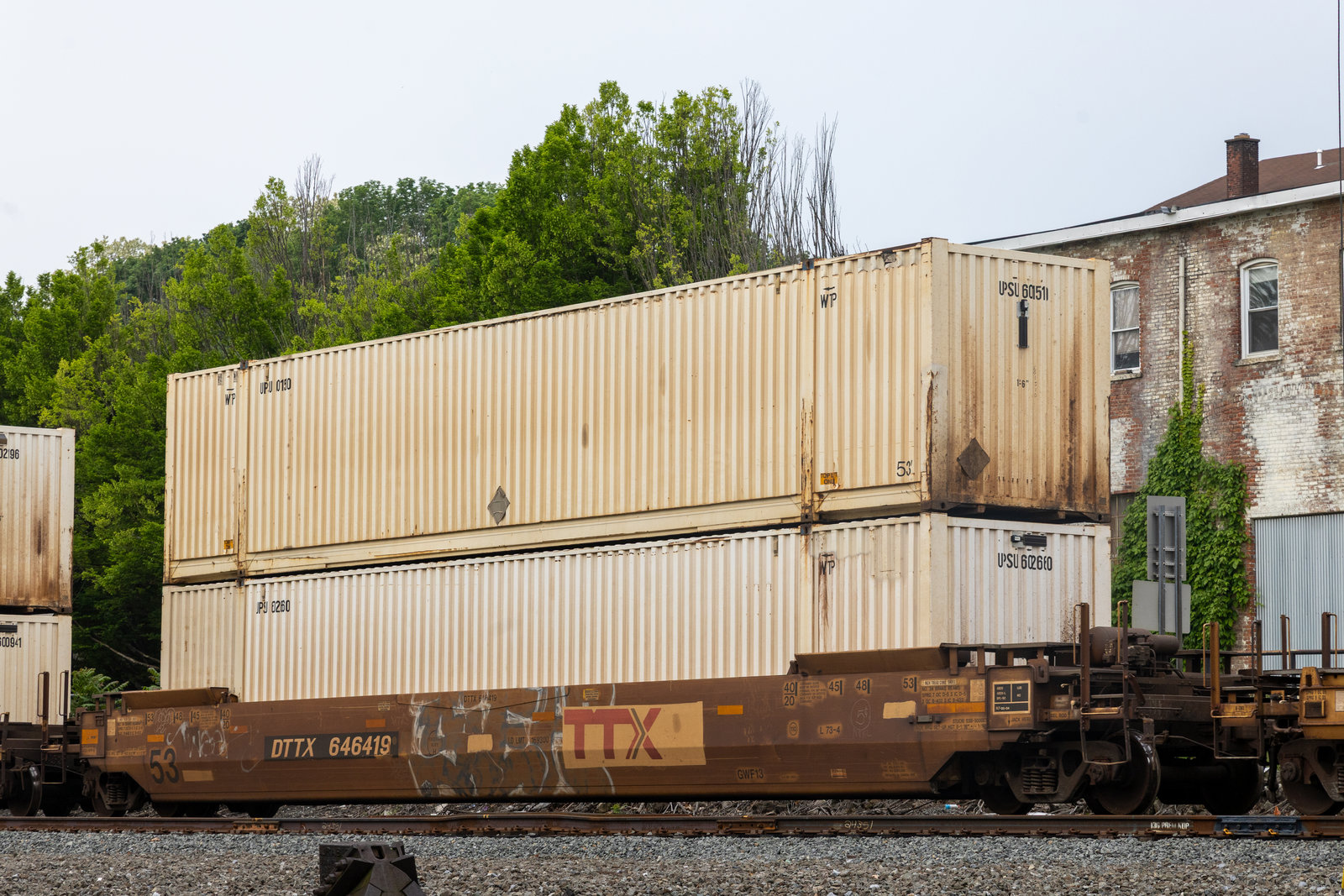 DTTX 646419