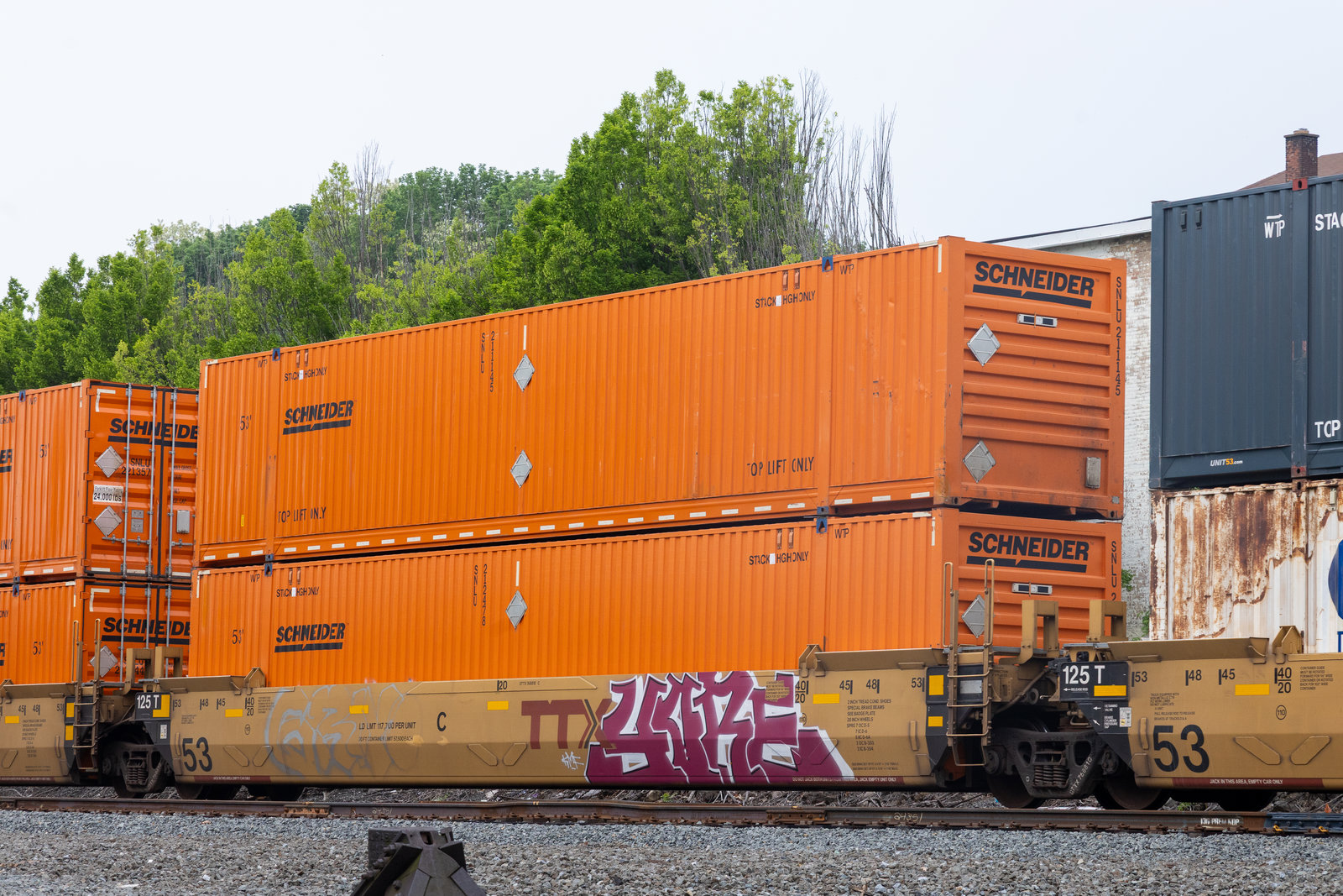 DTTX 768810C