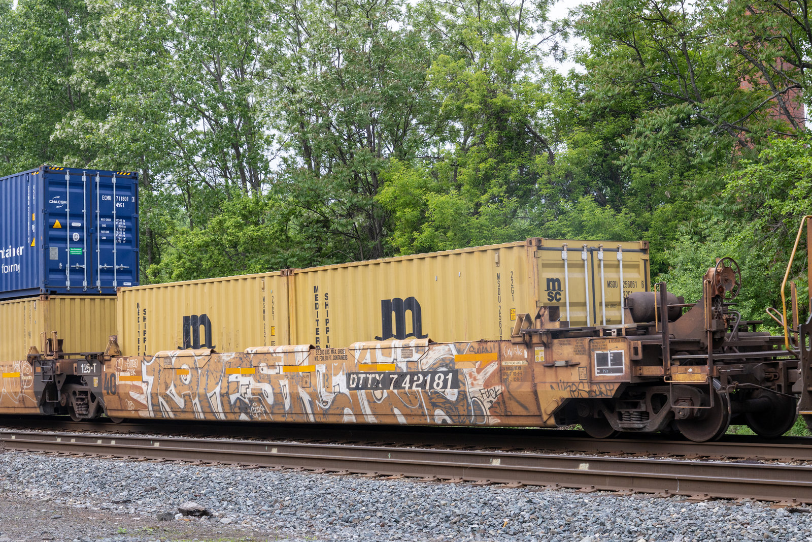 DTTX 742181B