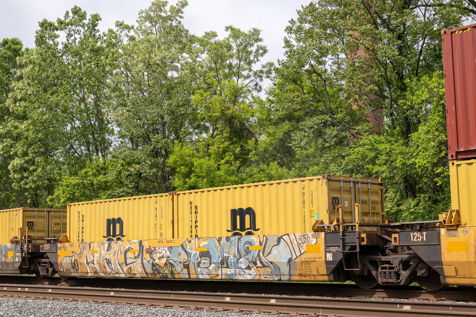 DTTX 744337C