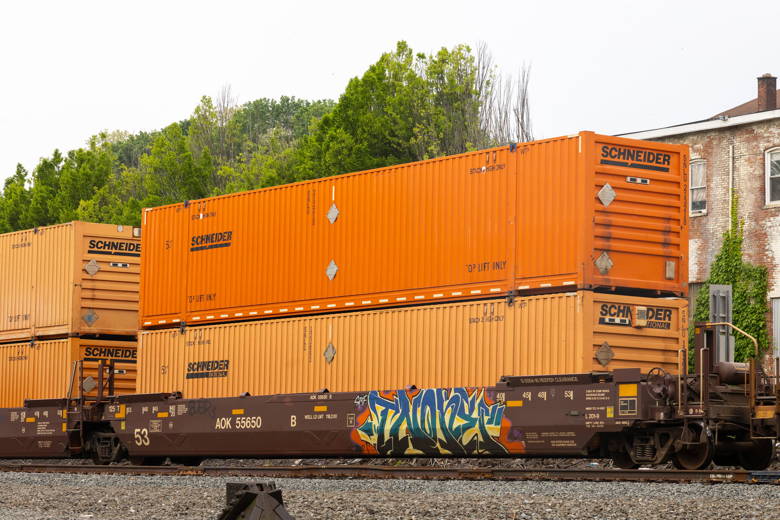 AOK 55650B