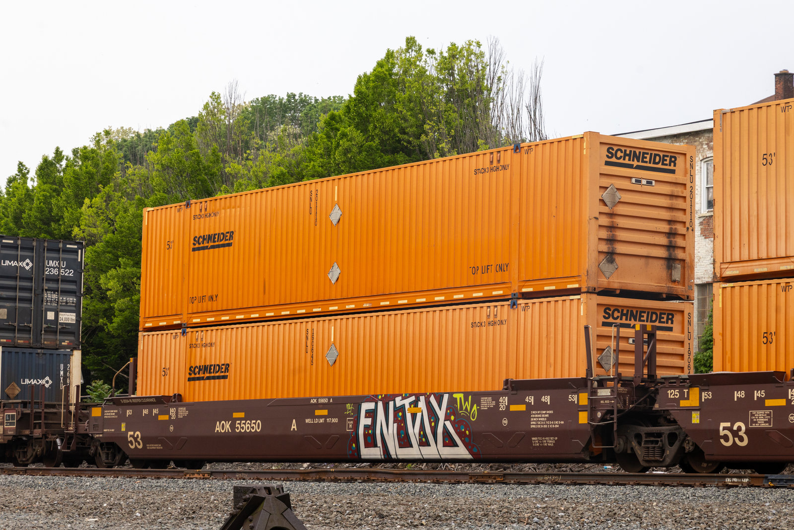 AOK 55650A