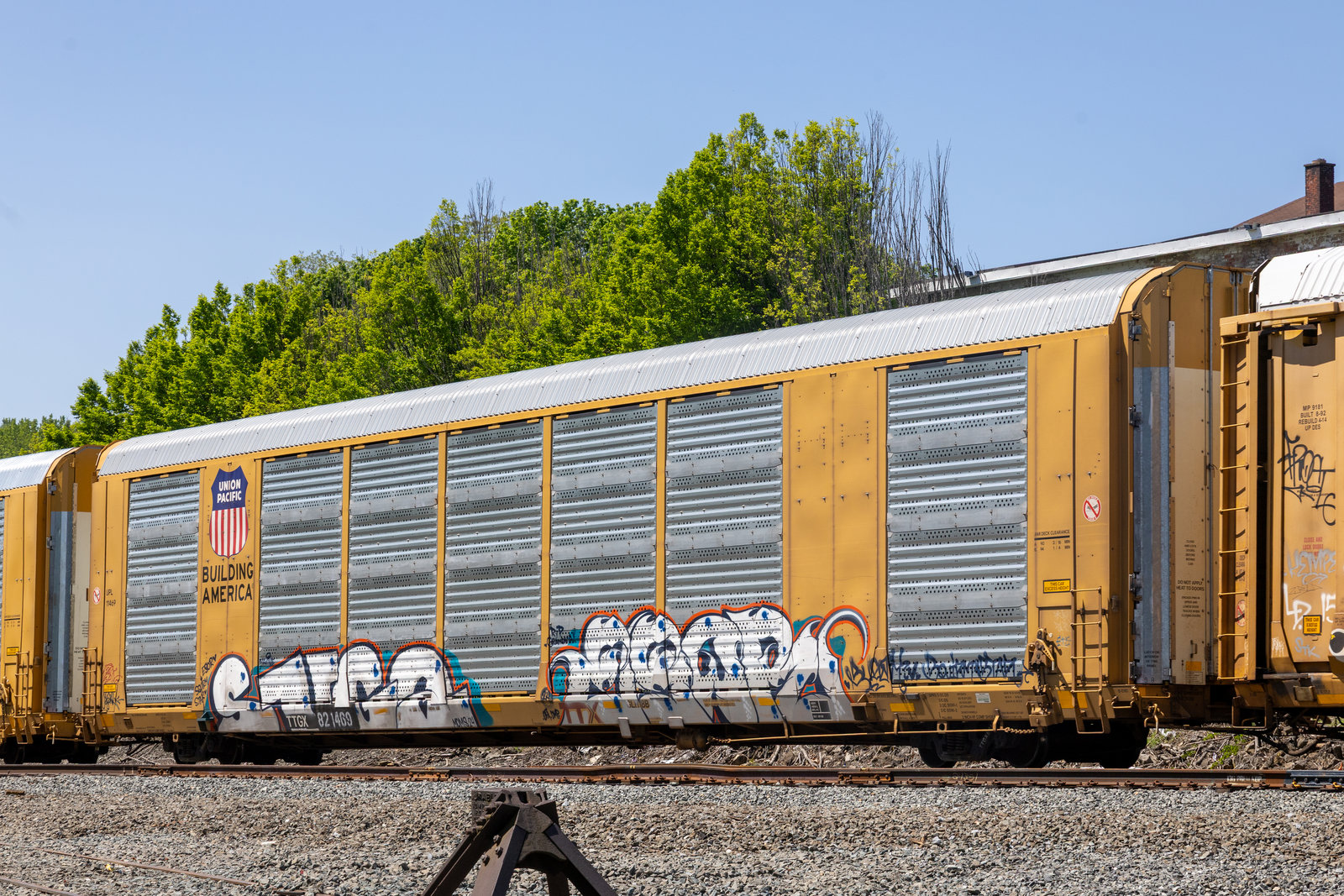 TTGX 821469