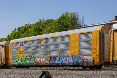 TTGX 698703