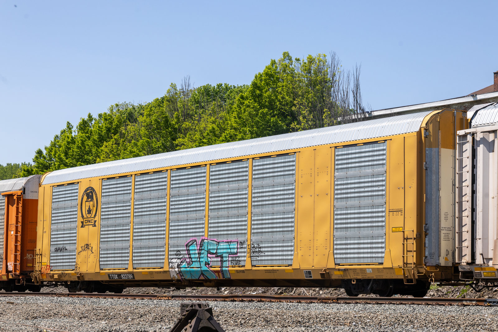 TTGX 822789