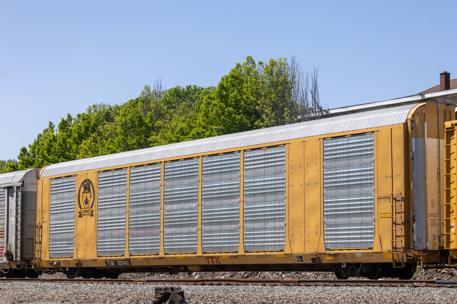 TTGX 822482