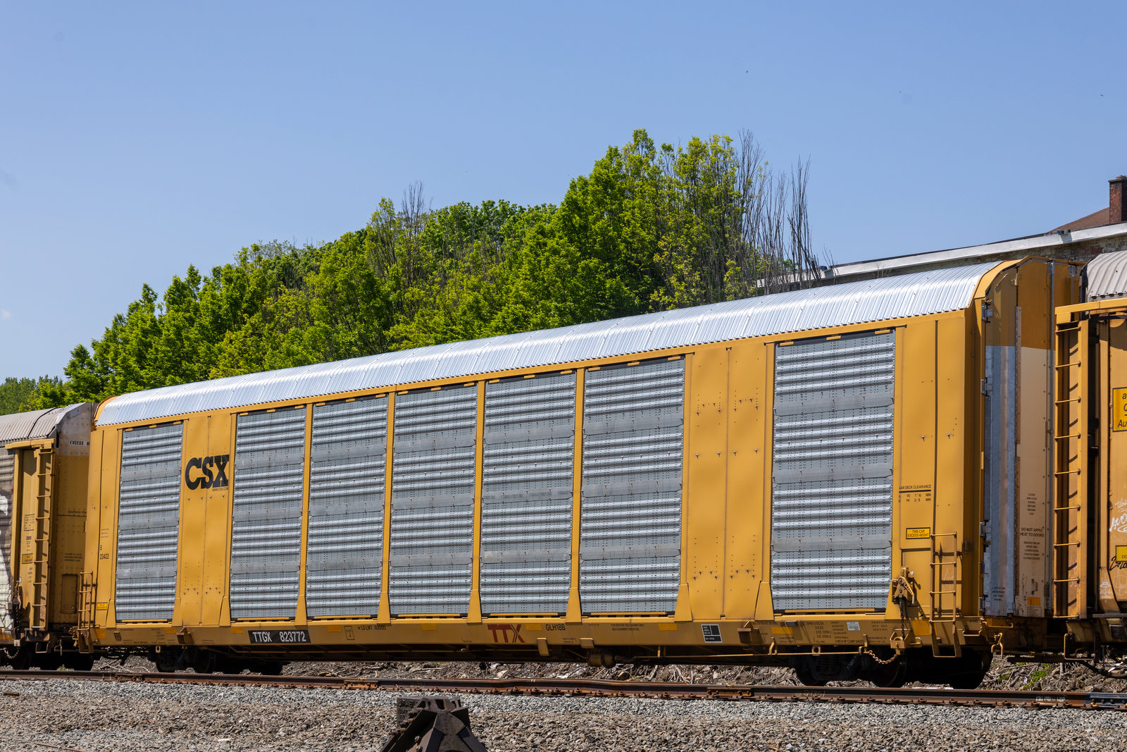 TTGX 823772