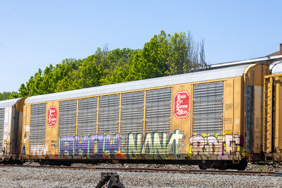 TTGX 696155