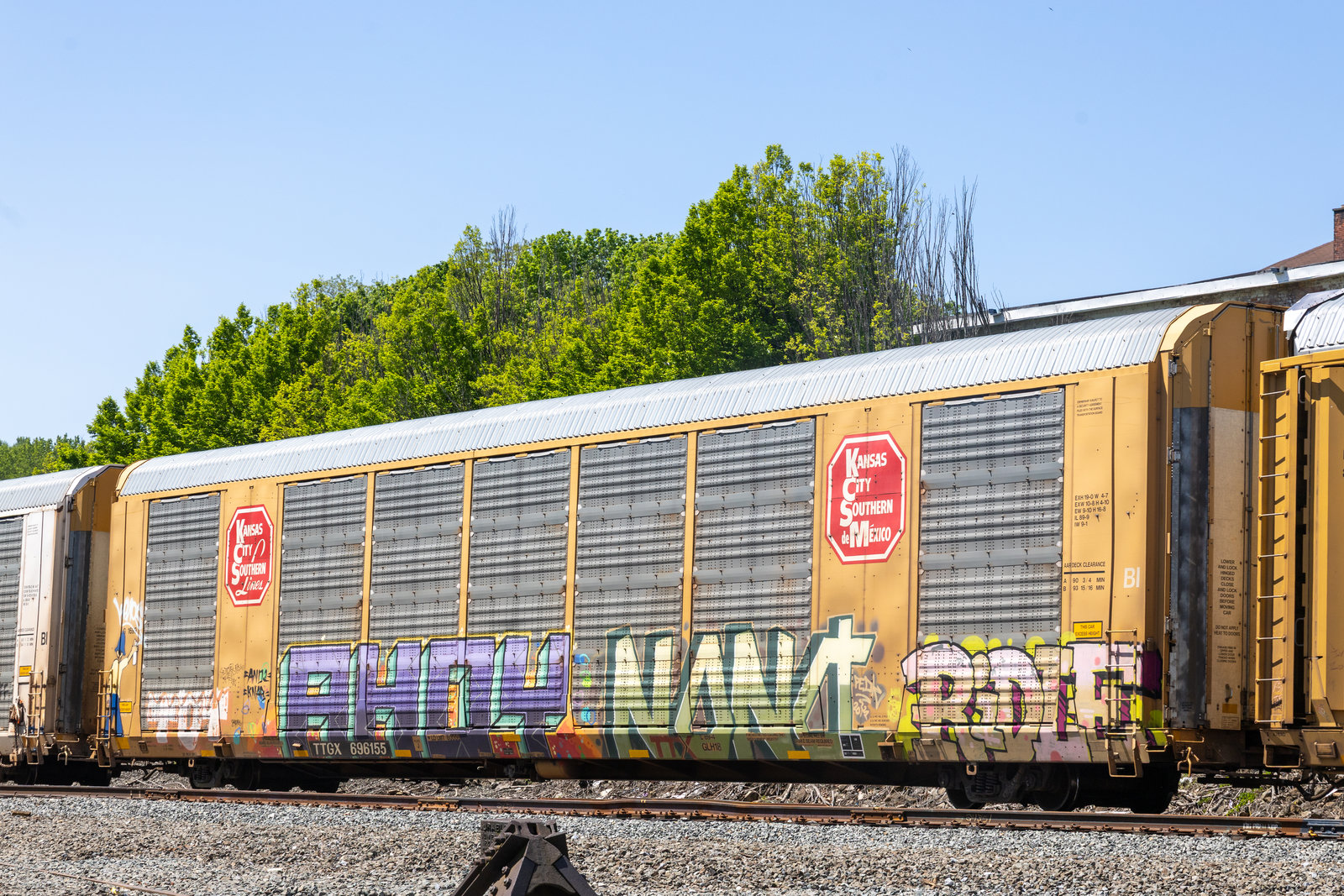 TTGX 696155
