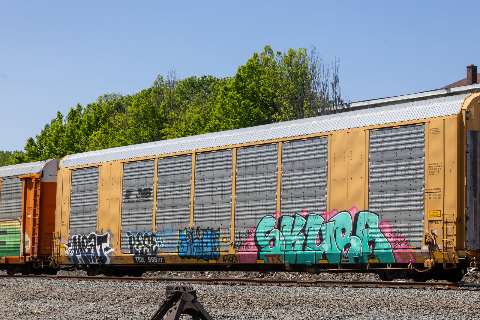 TTGX 698117