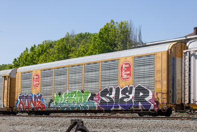 TTGX 696346