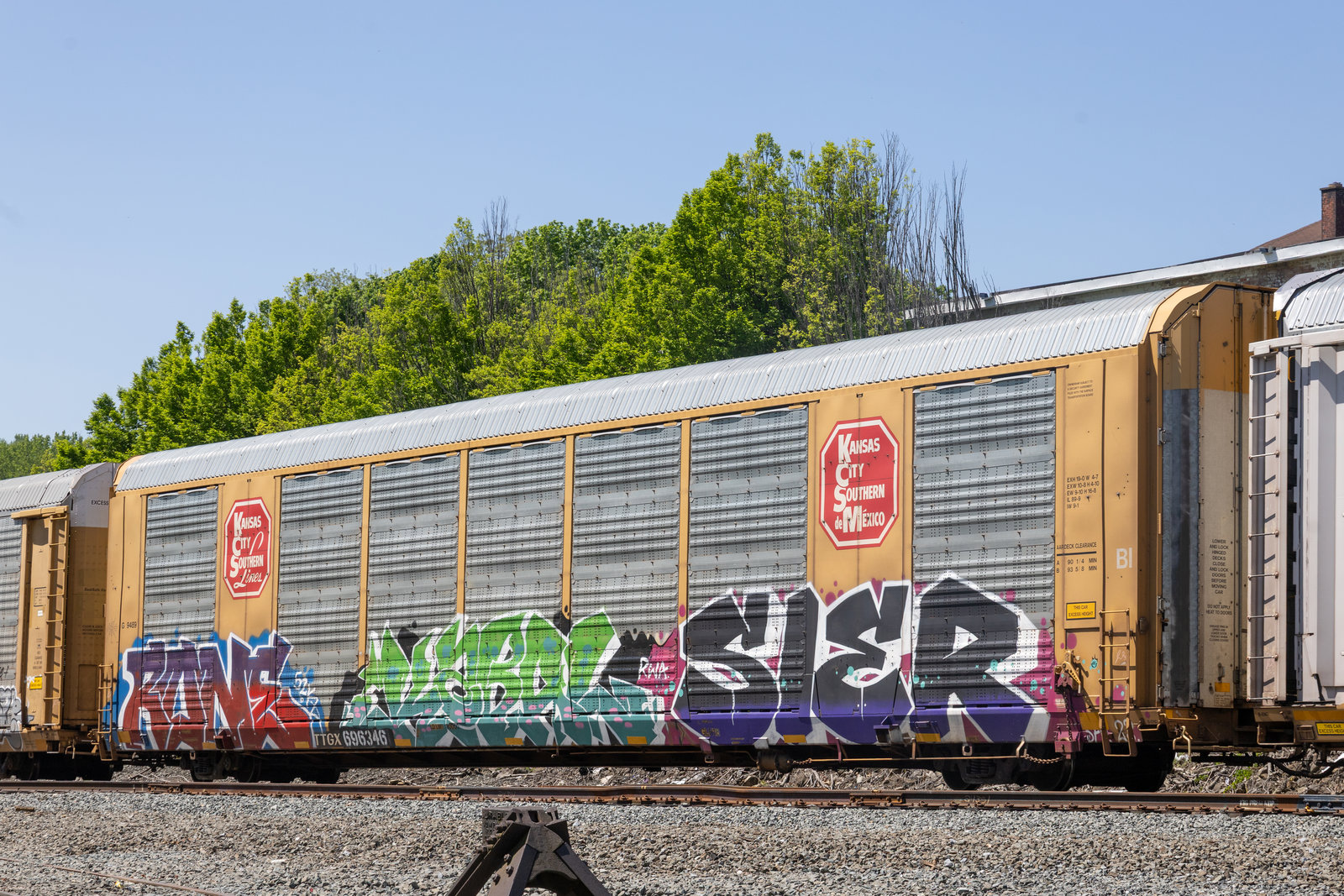TTGX 696346