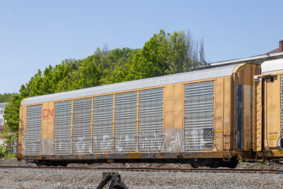 TTGX 695823